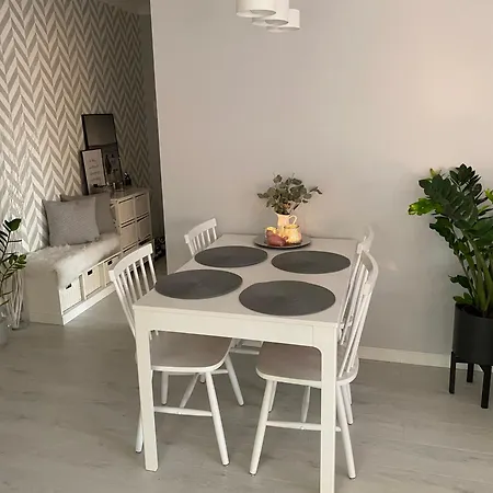 Apartment Dmowskiego Kepa Mieszczanska *